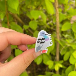 Pigeon Mini Claw